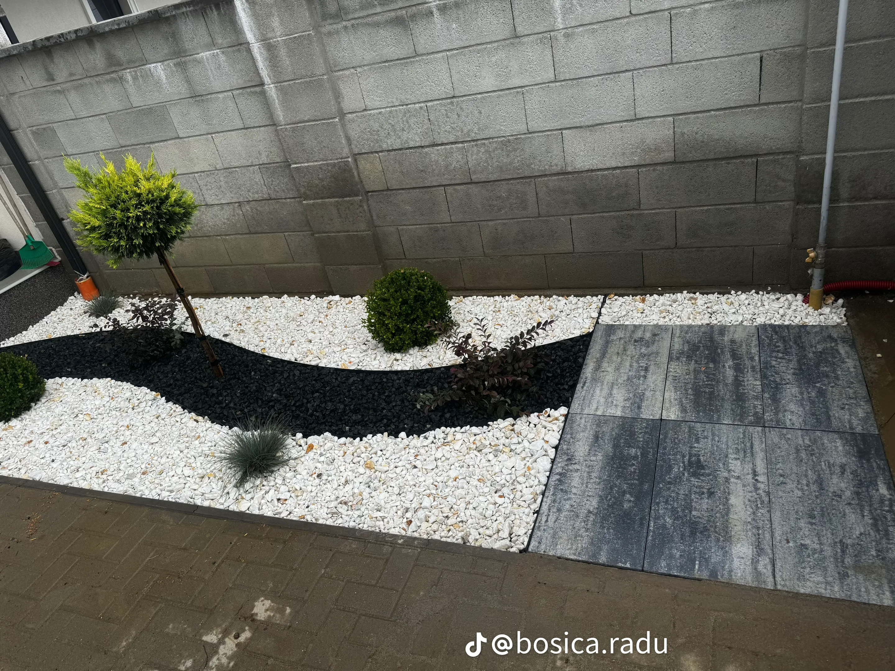 Grădina decorativă cu pietriș alb și negru, arbuști toaletați, Timișoara